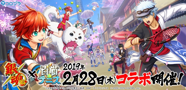 Tvアニメ 銀魂 と 白猫テニス のコラボを2 28 木 より開催 ニコニコニュース