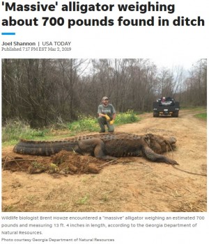 全長4m 体重318kgのワニの写真 巨大すぎてフェイク説浮上も 本物 米 ニコニコニュース
