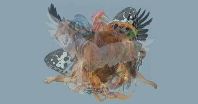 心理テスト どの動物が一番最初に見えた あなたの 本性 が明らかに ニコニコニュース