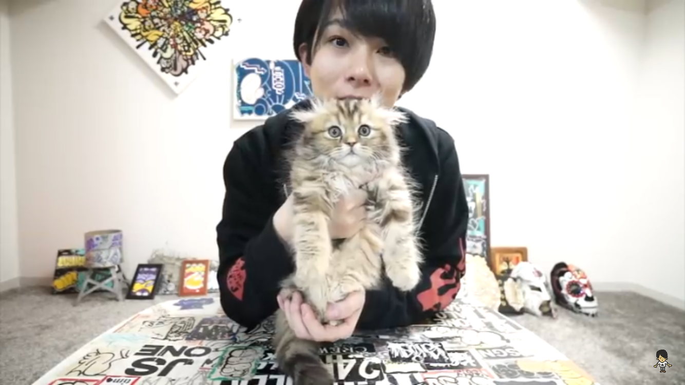 マホトが猫を飼い名前募集開始 コメント欄は候補だらけ ニコニコニュース