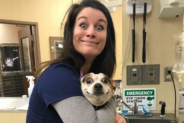 瓜二つ ビックリしたワンコと動物病院のスタッフ ニコニコニュース