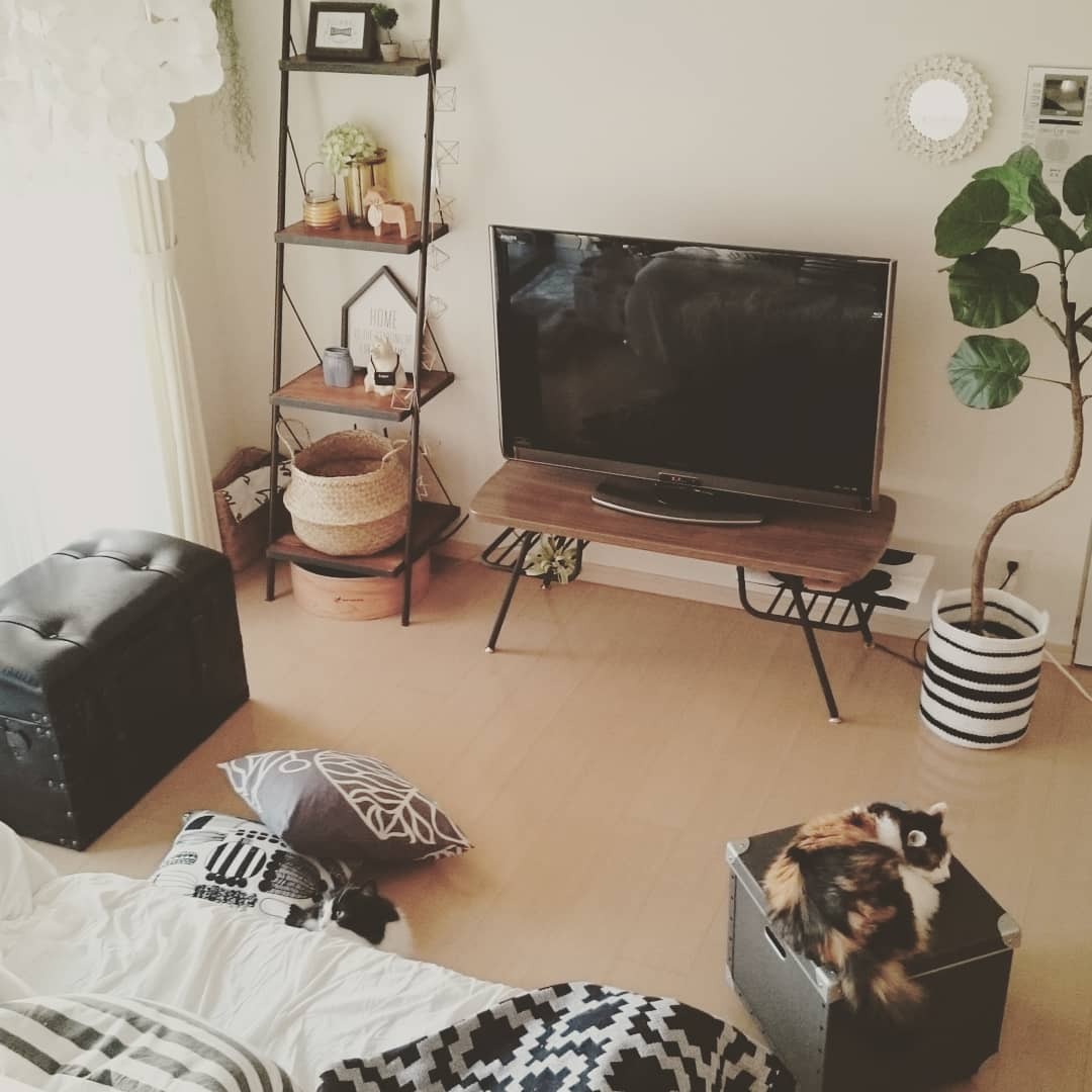 ニトリのフェイクグリーンで緑のある暮らしを実現しよう ニコニコニュース