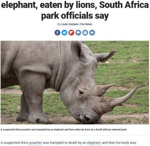 サイの密猟者 象に踏み殺された後ライオンの餌食となる 南ア ニコニコニュース