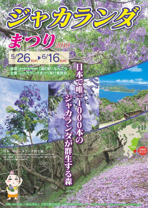 ジャカランダの花が咲き誇る 宮崎県日南市で ジャカランダまつり19 開催 ニコニコニュース