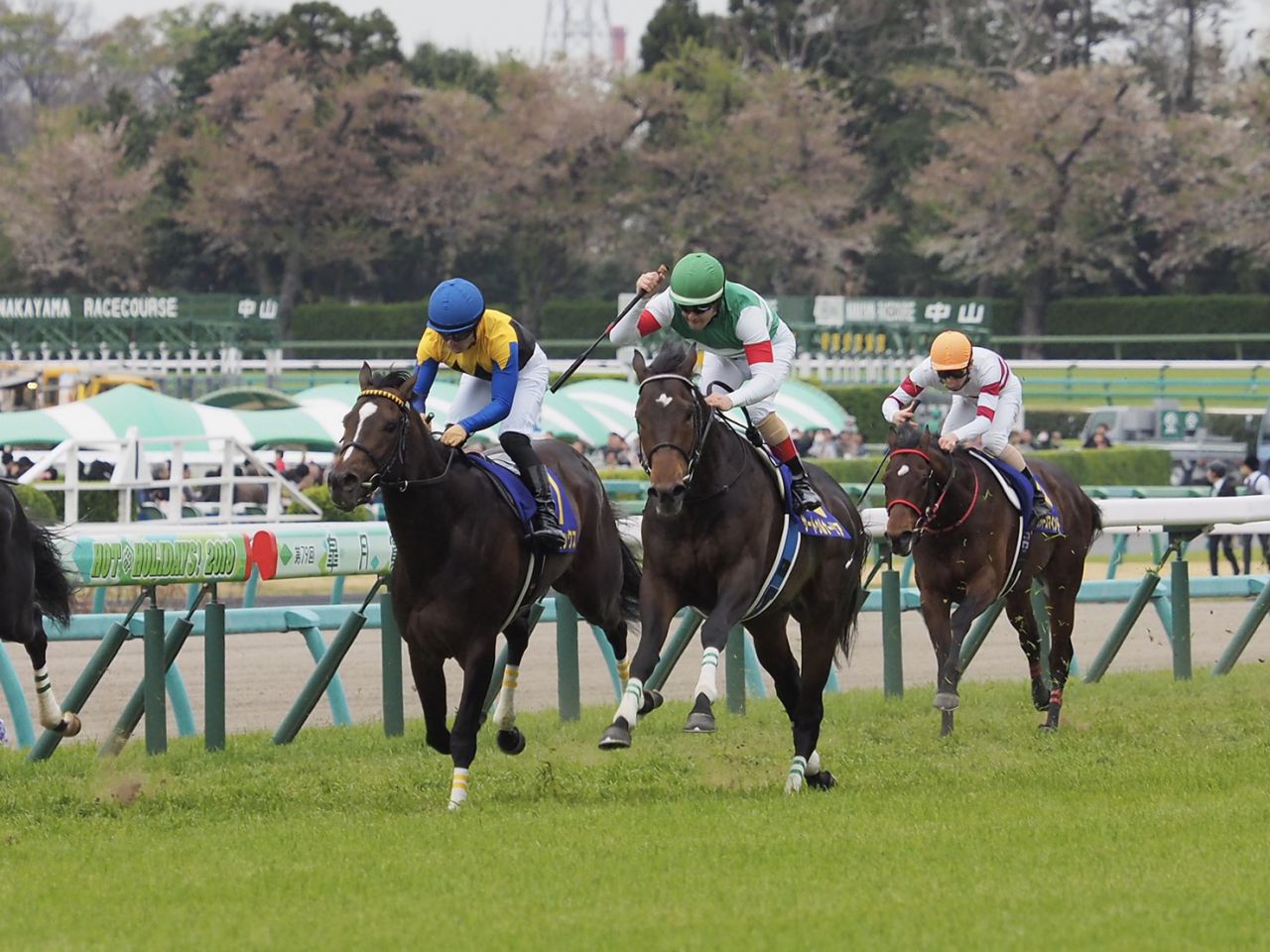 日本ダービー 出走馬の調教後の馬体重 ニコニコニュース