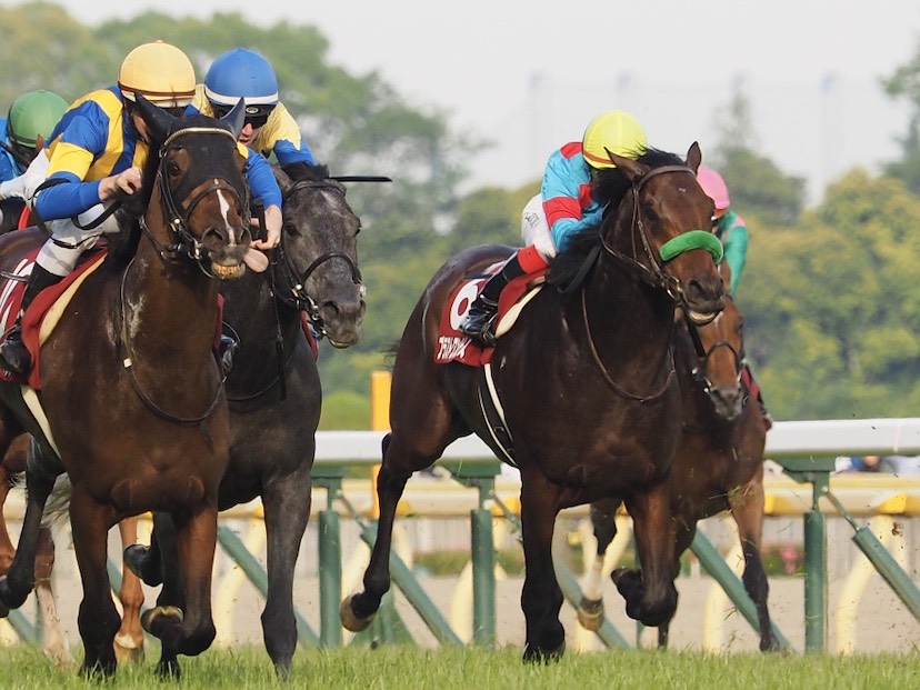 目黒記念 ブラストワンピース伸び切れず8着 池添 同じ脚色に ニコニコニュース