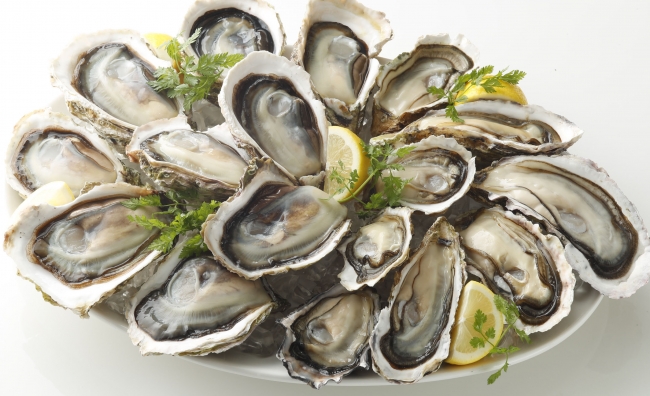 いよいよ岩牡蠣も登場 生牡蠣6ピース 半額 ニコニコニュース