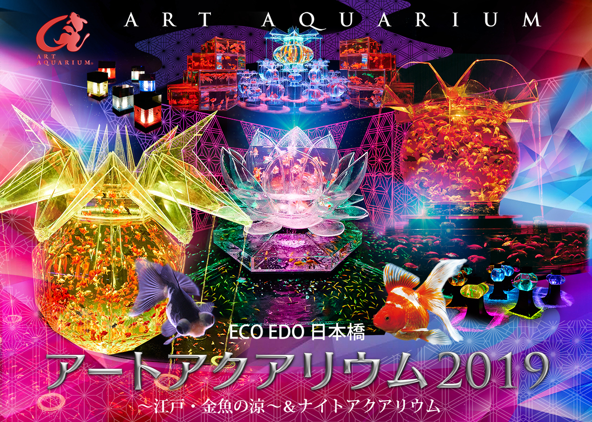 アートアクアリウム 19 が東京と熊本の2都市で開催 合計2万匹の金魚が会場を彩る ニコニコニュース