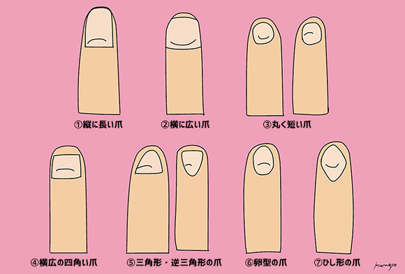 7タイプの爪の形で占う性格診断テスト ニコニコニュース