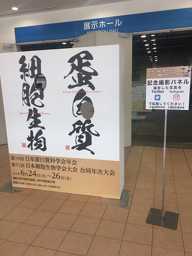 なぜそこに穴をあけたのか 素人には意味が全く分からない顔出しパネルが話題 ニコニコニュース