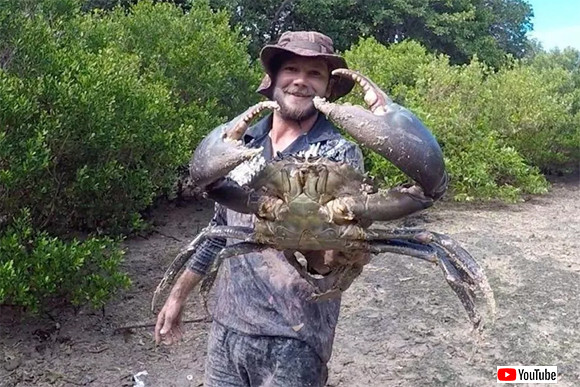 これはでかい 巨大ガニ ノコギリガザミ を泥の中から捕獲 オーストラリア ニコニコニュース