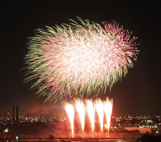 フィナーレを盛大に飾る黄金しだれ柳は圧巻 第39回いたみ花火大会の花火 混雑回避情報 ニコニコニュース