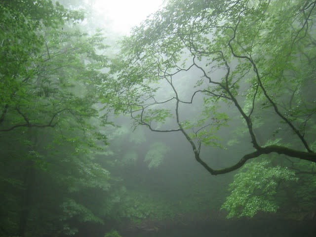 漢詩の楽しみ 劍門道中遇微雨 剣門の道中にて微雨に遇う ニコニコニュース