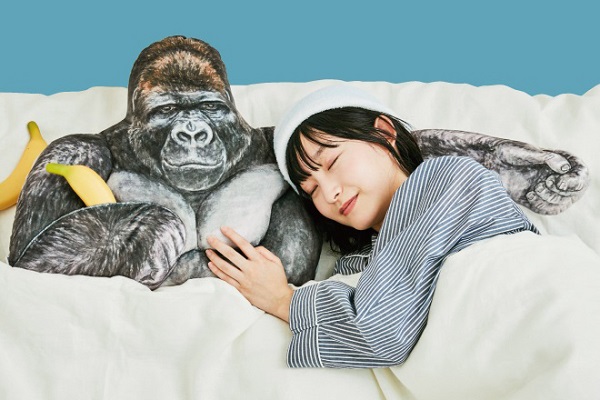 名古屋のイケメンゴリラ シャバーニ の腕枕クッションが話題 たくましく優しい胸板 どんな経緯で開発された ニコニコニュース