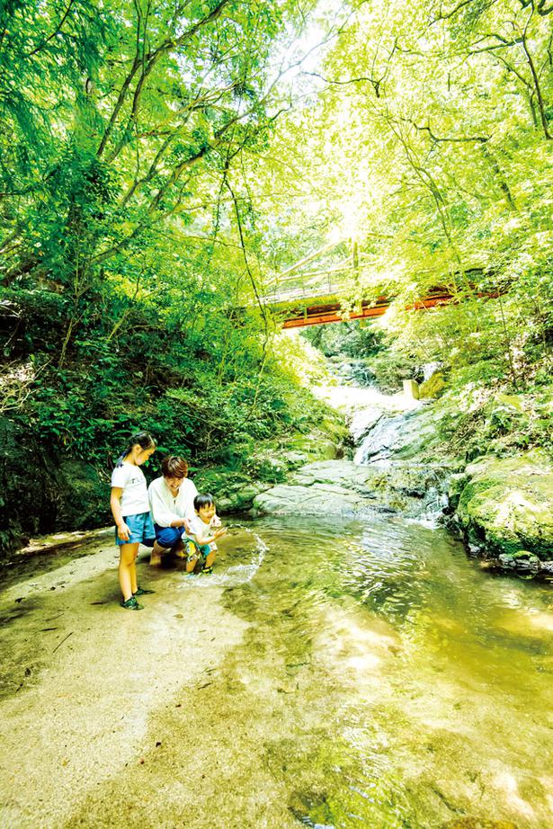 ちびっこでも安心して水遊び 福岡 佐賀のひんやり川遊びスポット5選 ニコニコニュース