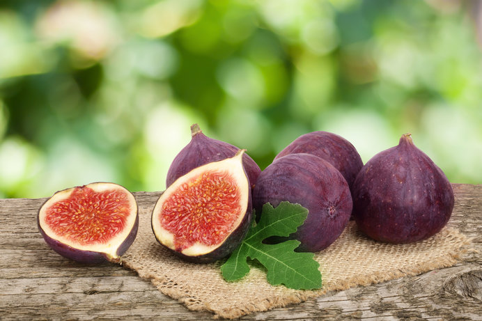 その故郷はエデンの園 最古の果物 イチジク が色づいてきました ニコニコニュース