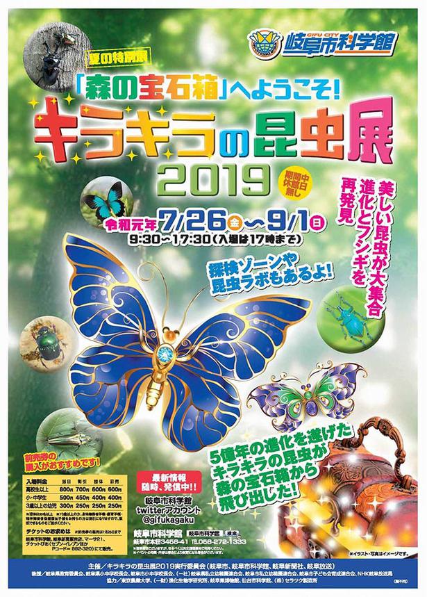 宝石のように美しい昆虫が大集合 岐阜市科学館で キラキラの昆虫展19 開催中 ニコニコニュース