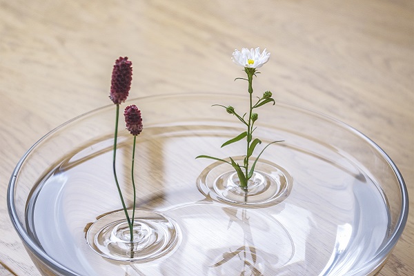 水面に花が立つ一輪挿しが美しいと話題に デザイナー 花瓶がなくても花を立てられるように ニコニコニュース