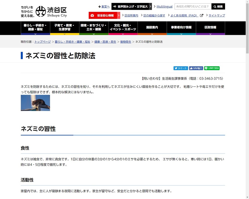 コンビニに ネズミがウジャウジャ はなぜ 駆除業者に理由を聞くと ニコニコニュース