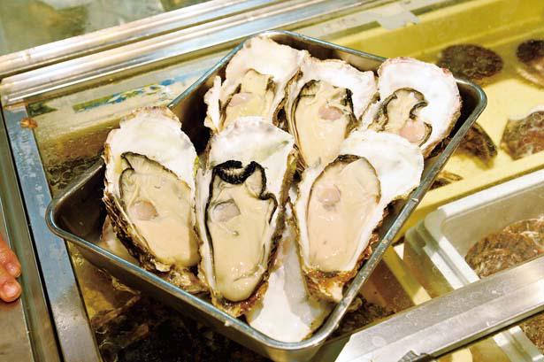 京の台所で極上昼飲み 錦市場の昼飲みできる店4選 ニコニコニュース