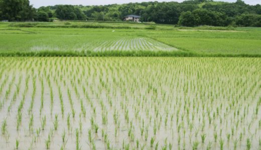 台風時 田んぼの様子見に行く 農家が続出する本当の理由が闇過ぎると話題に ニコニコニュース