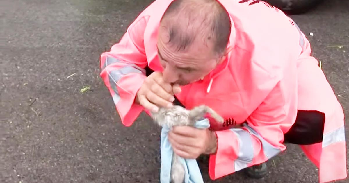 大雨で溺れてぐったりしてしまった子猫 清掃員の男性が必死に人工呼吸と心臓マッサージをする姿が話題に ニコニコニュース