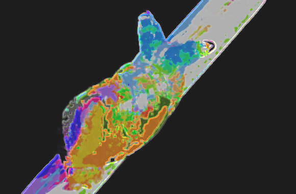 カタツムリの触角の中でグリグリとうごめく寄生虫 ロイコクロリディウムの恐ろしい映像が話題に 台湾 グリグリ注意 ニコニコニュース