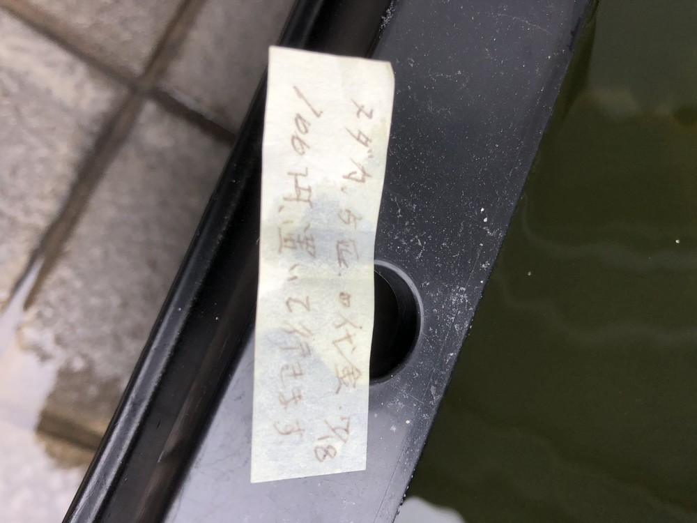 2万円超のメダカを 100円 払って持ち去ったあなたへ 嘆く店主が今伝えたいこと ニコニコニュース