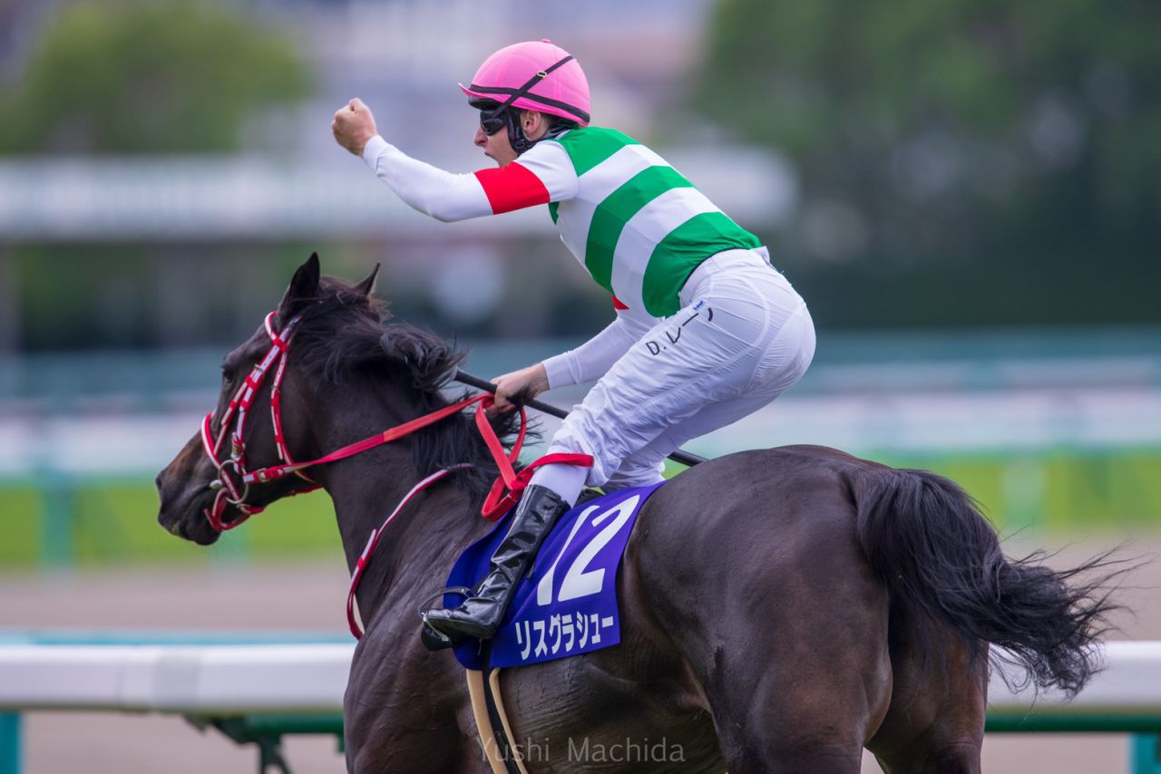 メルボルンカップ 日本馬 過去