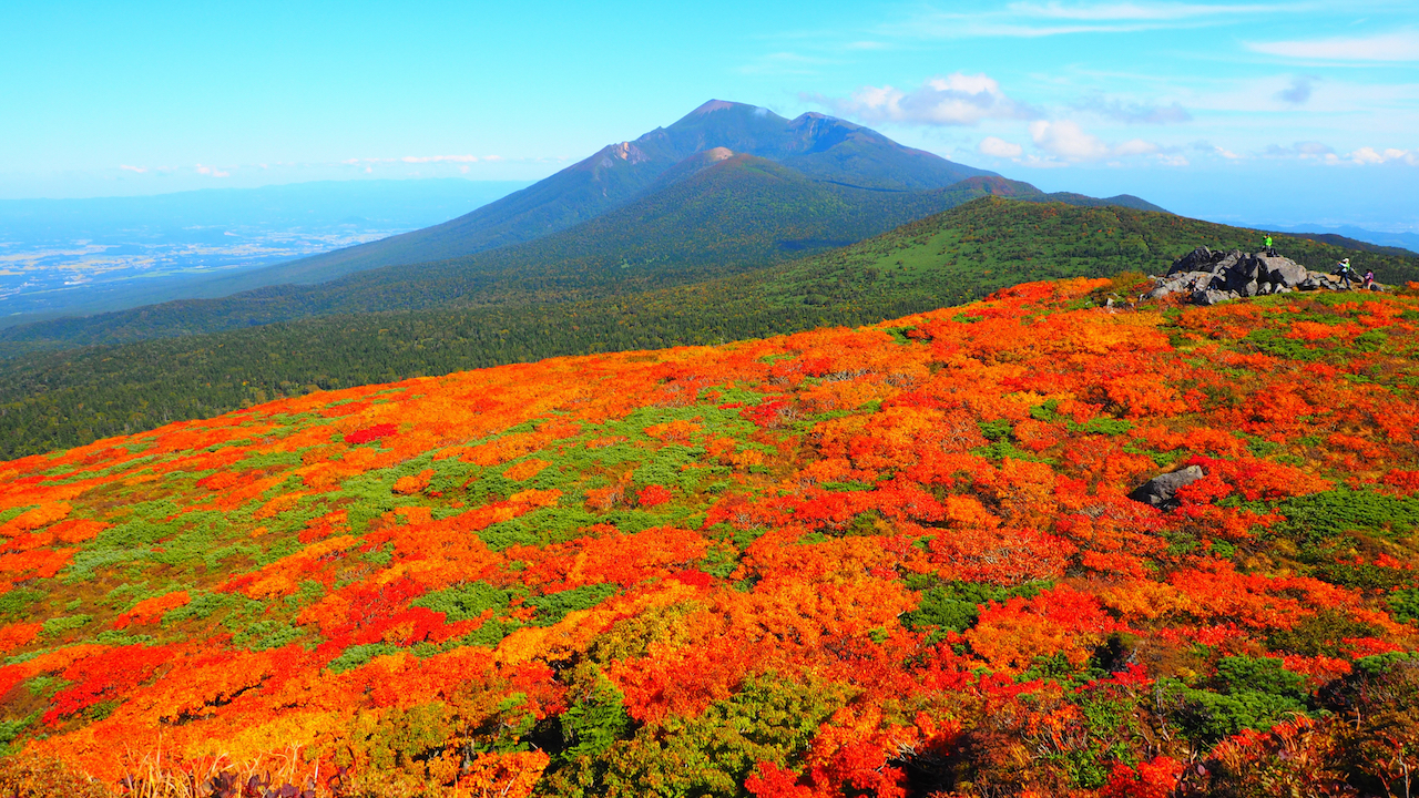 全国紅葉の絶景 この秋マストで訪れたい 錦秋の絨毯が広がる 岩手県の紅葉人気スポット ニコニコニュース