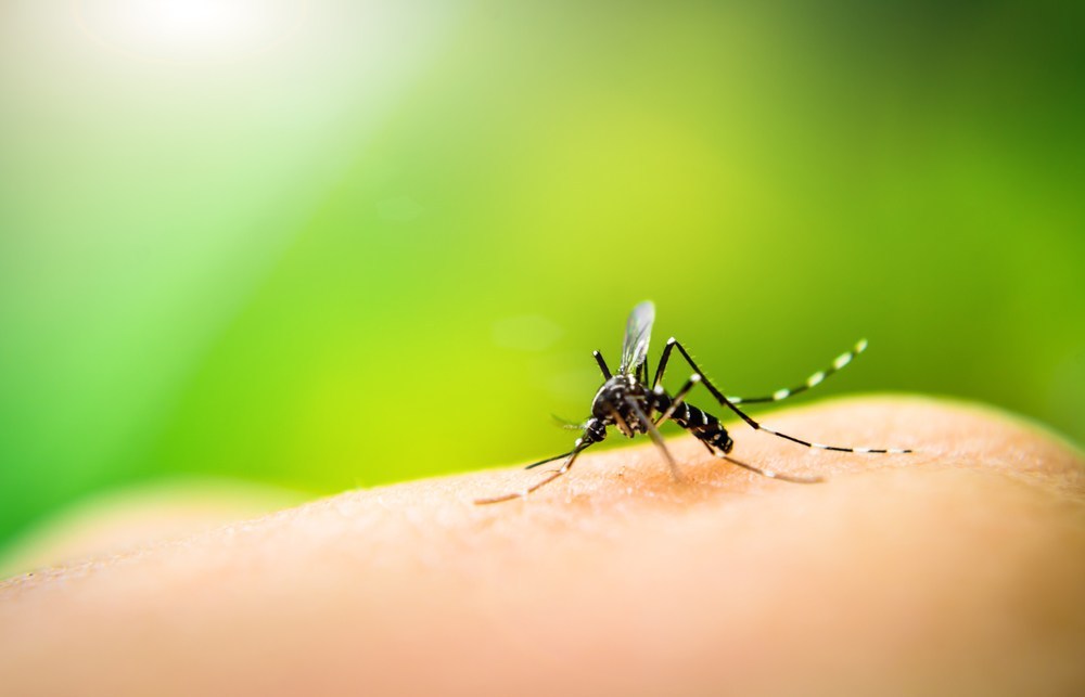 遺伝子操作による蚊の減少実験が失敗、さらに「不死身の蚊」が誕生？ ニコニコニュース