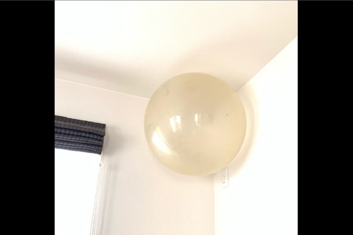 朝起きたら天井にバランスボールが その 合理的な理由 に思わず納得 ニコニコニュース