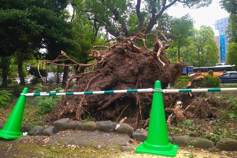 台風15号で 屋根がふってきた 車が傷だらけに ご近所トラブル多発 弁償は必要 ニコニコニュース