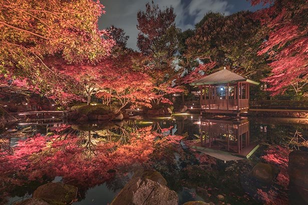 東京近郊で出会える奇跡の絶景紅葉 都会の穴場 大田黒公園 で和の趣を感じよう ニコニコニュース