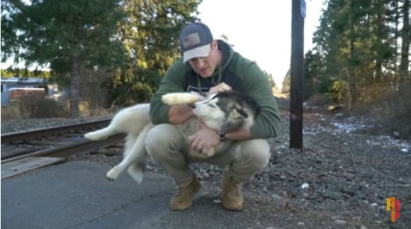 路上をさまよっていたハスキー犬に恋した男性 自分で飼う覚悟で連れ帰り飼い主探しを開始 その結末は アメリカ ニコニコニュース