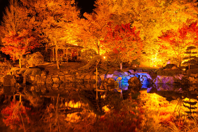 北関東の紅葉を見に行こう 夜のライトアップも美しい紅葉名所４選 ニコニコニュース
