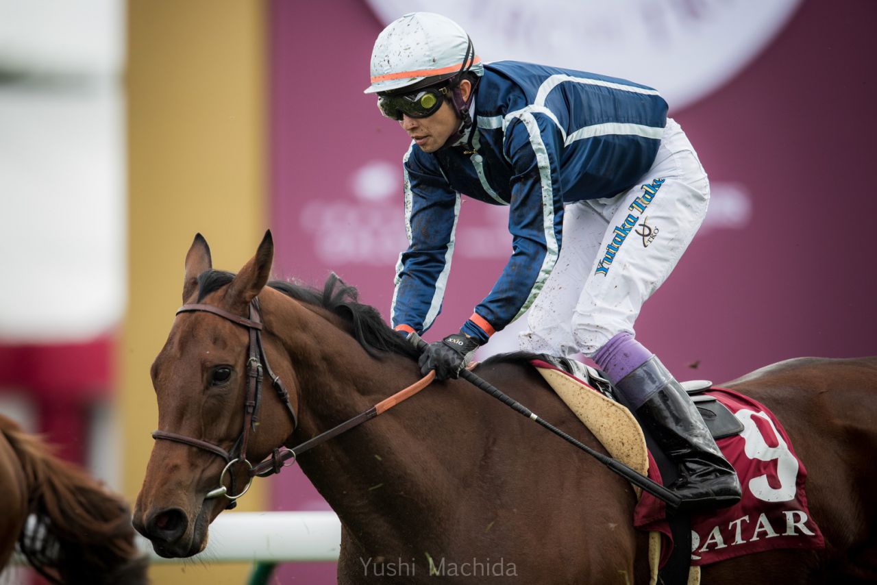 最大53%OFFクーポン 乗馬 競馬 武豊 ルメール レーン騎手愛用UOF