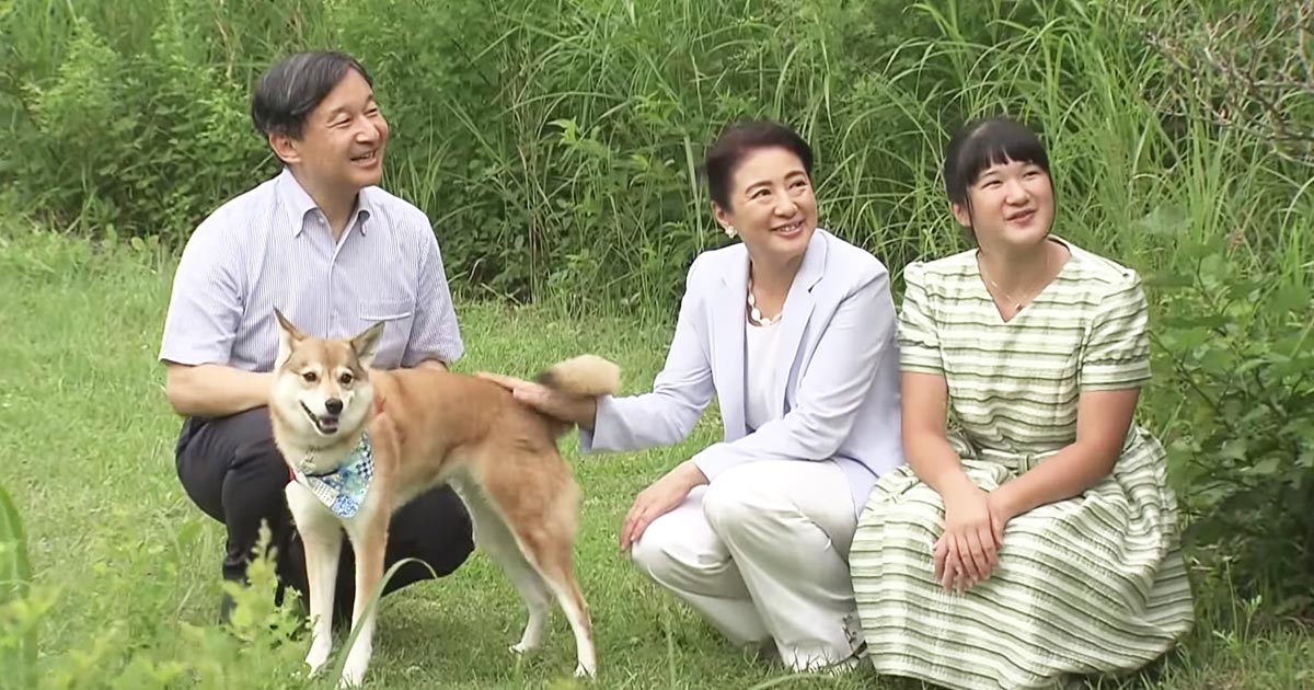 もっと広まって欲しい 天皇ご一家が飼っている犬が血統書付きではなく 雑種の保護犬であることが話題に ニコニコニュース