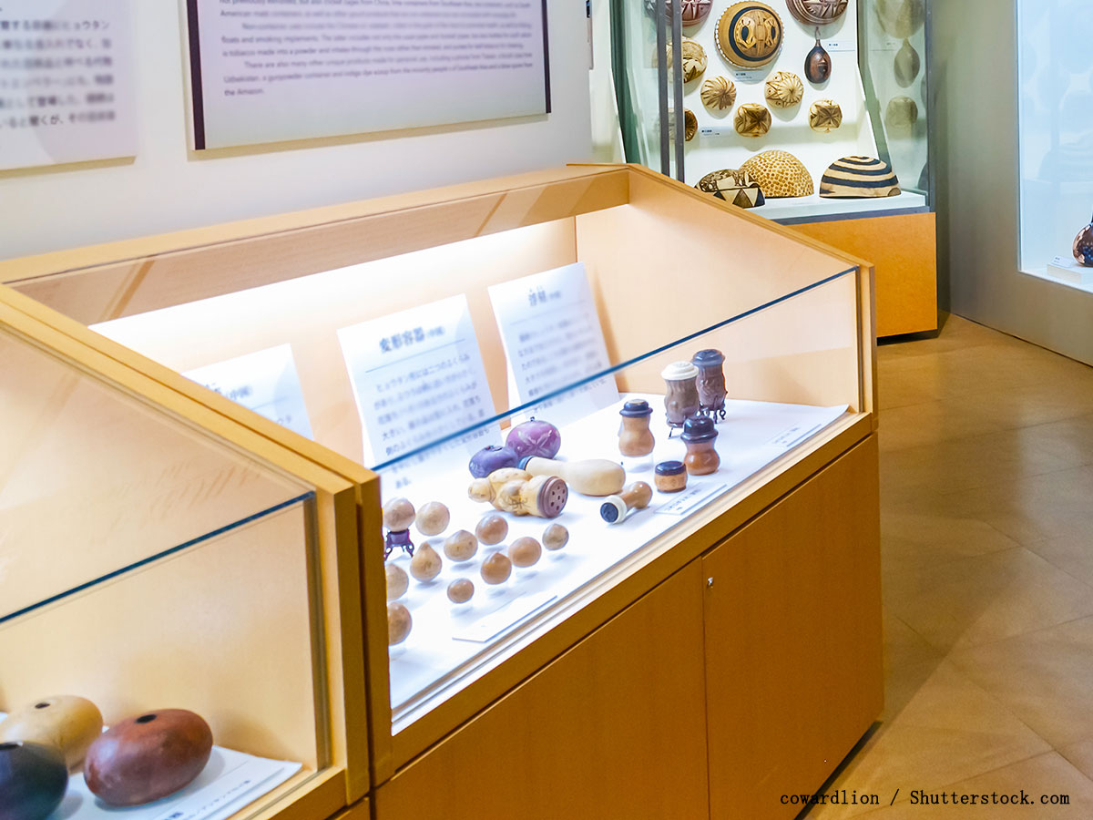 古墳時代の土器に刻まれた猫の肉球跡 大昔から猫は自由気ままか ニコニコニュース
