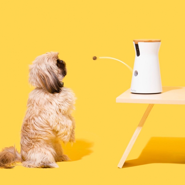 Furbo ドッグカメラ Black Friday SALE大反響につき完売 年末ビッグセール第二弾「Cyber ニコニコニュース