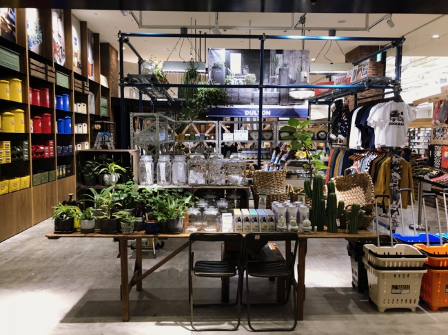 Niko And Mozo Wondercityのeditorial ニコニコニュース