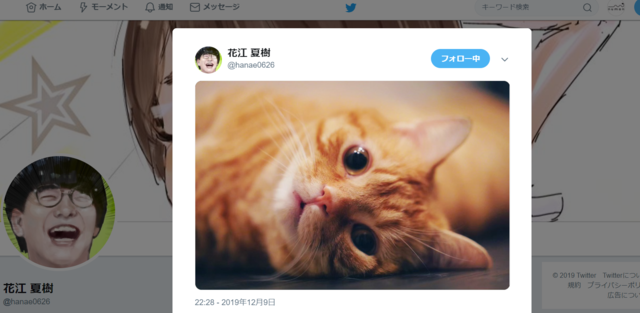 花江夏樹 公式twitterが 猫bot になる 猫画像あげすぎの罪にファン 最高じゃないか ニコニコニュース