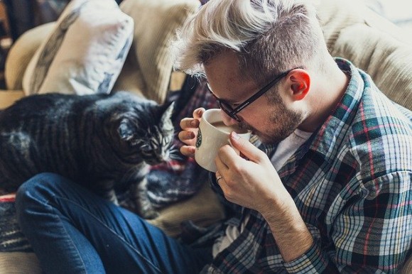 ネコと和解せよ 無宗教者の方が猫を飼っている確率が高いことが判明 アメリカ研究 ニコニコニュース