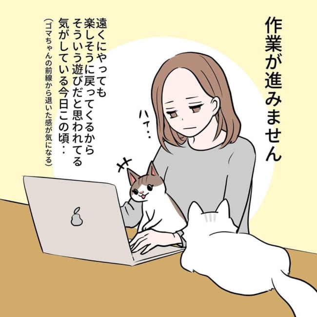 パソコン作業中 飼い猫が邪魔を 抱き上げたら思わぬことが起きた漫画 ホラーかと ニコニコニュース
