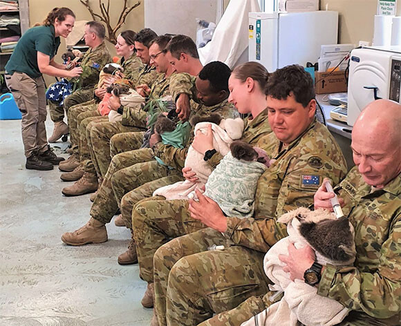 オーストラリア軍が一列に並び コアラの赤ちゃんを抱っこして給餌 ニコニコニュース