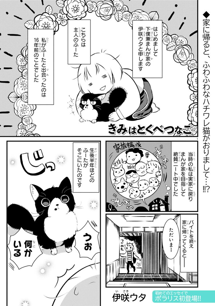 ポラリスの猫エッセイ企画に伊咲ウタ登場 王様のように育った愛猫描く ニコニコニュース