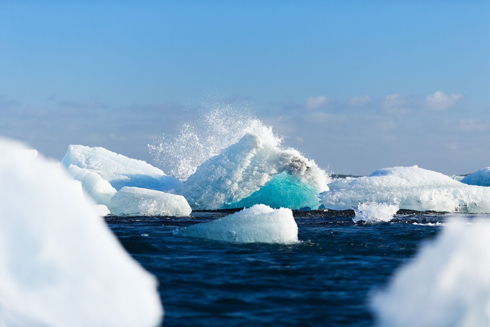 南北極の融解で進行する海の 腐海化 ニコニコニュース