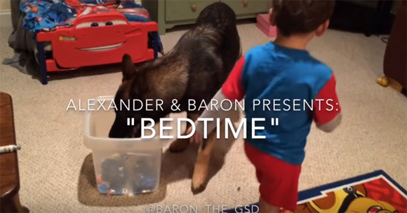 世界最強のベビーシッター犬が子どもの寝る前にすること ニコニコニュース