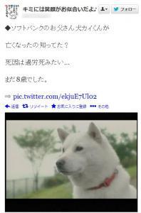 ソフトバンク犬 として有名なカイ君が死亡と Twitter で拡散される もちろんデマ ニコニコニュース ソフトバンク犬 として有名なカイ君が死亡と Twitter で拡散される もちろんデマ ニコニコニュース