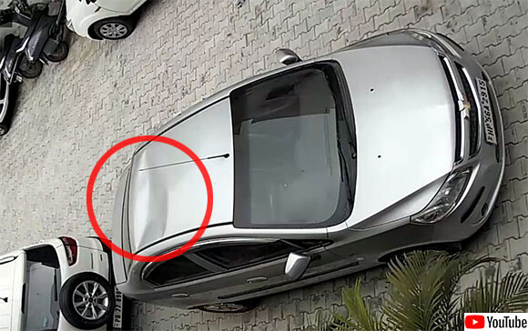 駐車していた車の屋根がへこむというアクシデント 犯人は意外な人物 っていうか動物だった インド ニコニコニュース